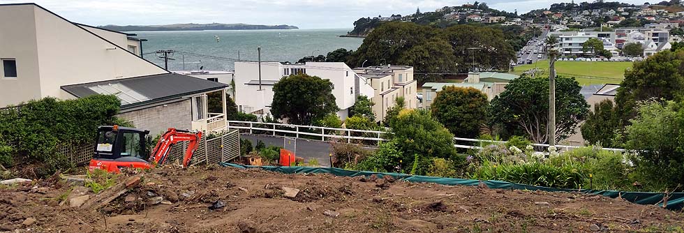 Site clearing and excavation in Auckland